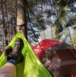 Meet your Posher, Janis